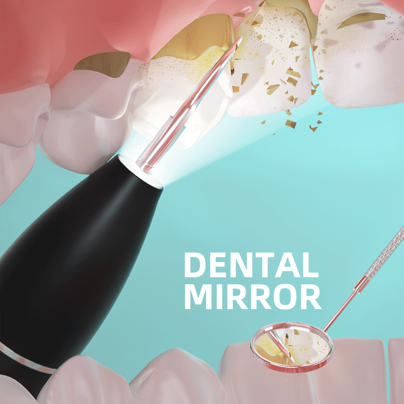 Black electric dental plaque remover with dental mirror accessory and nozzle