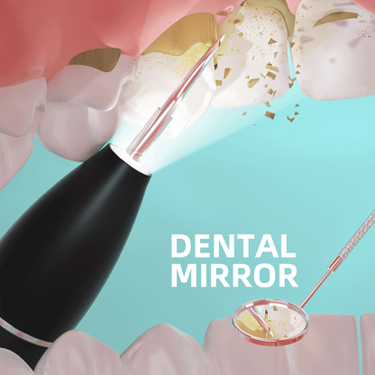 Black electric dental plaque remover with dental mirror accessory and nozzle