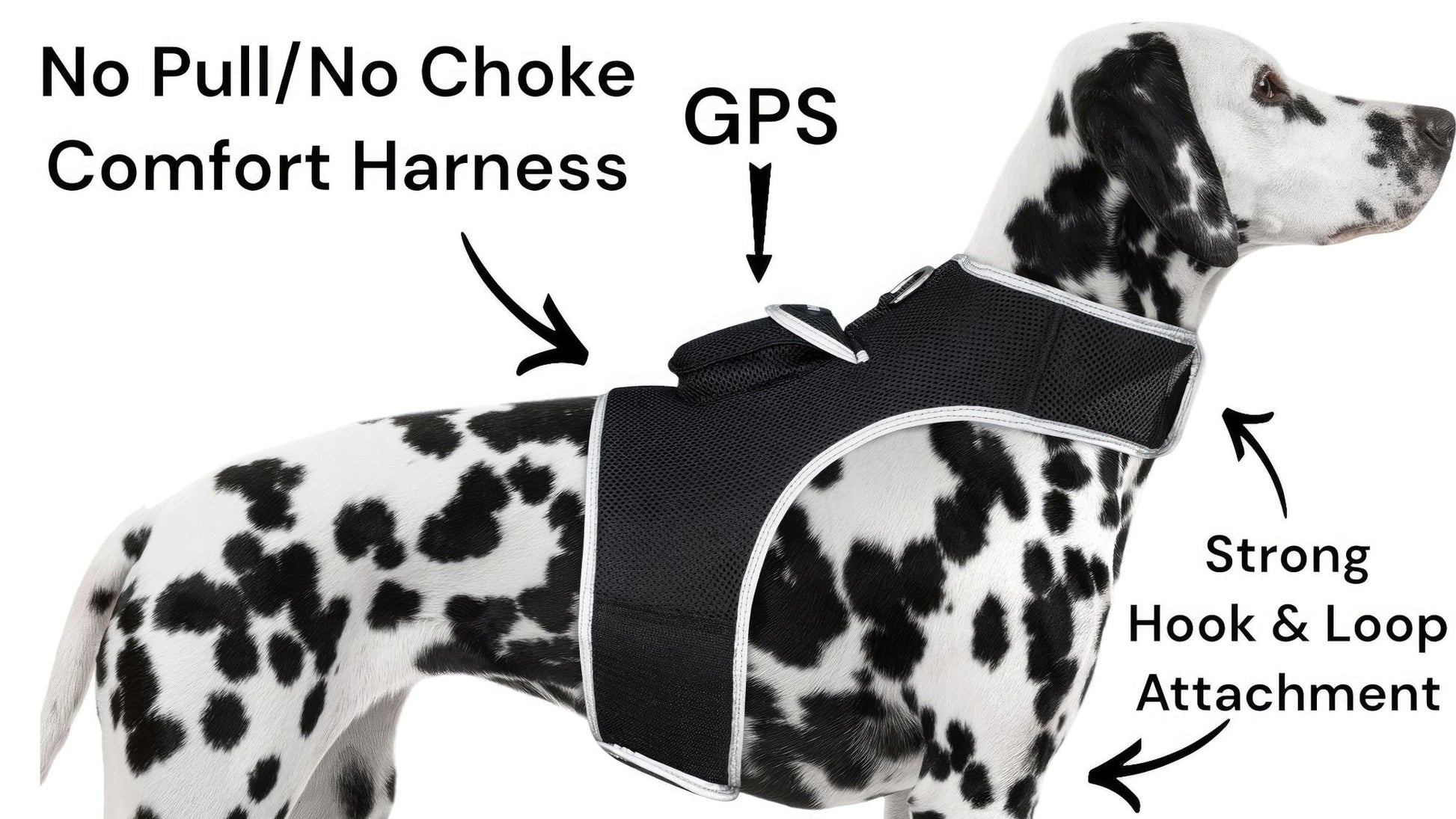 Dog comfort GPS harness: no-pull design with strong hook-and-loop attachment