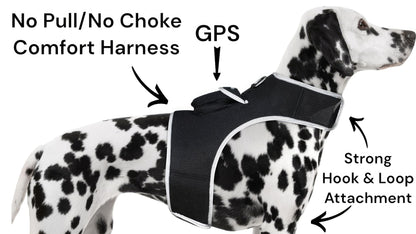 Dog comfort GPS harness: no-pull design with strong hook-and-loop attachment