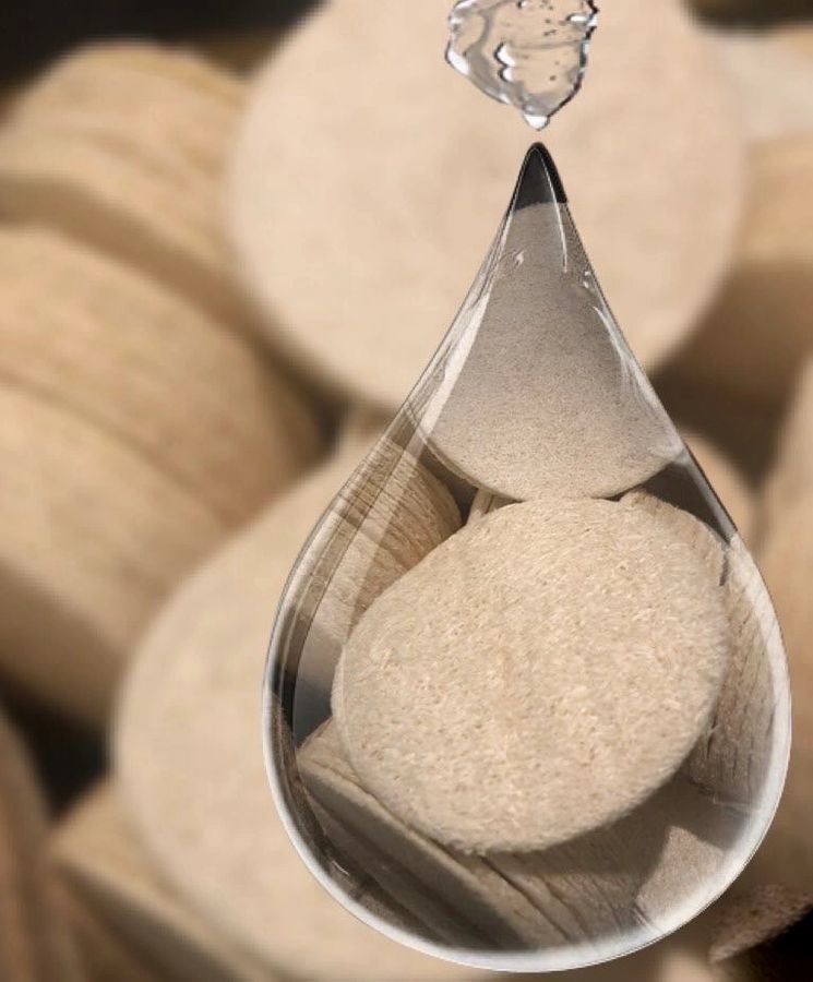 Loofah sponge pad, round light beige disc placed in a metal holder.