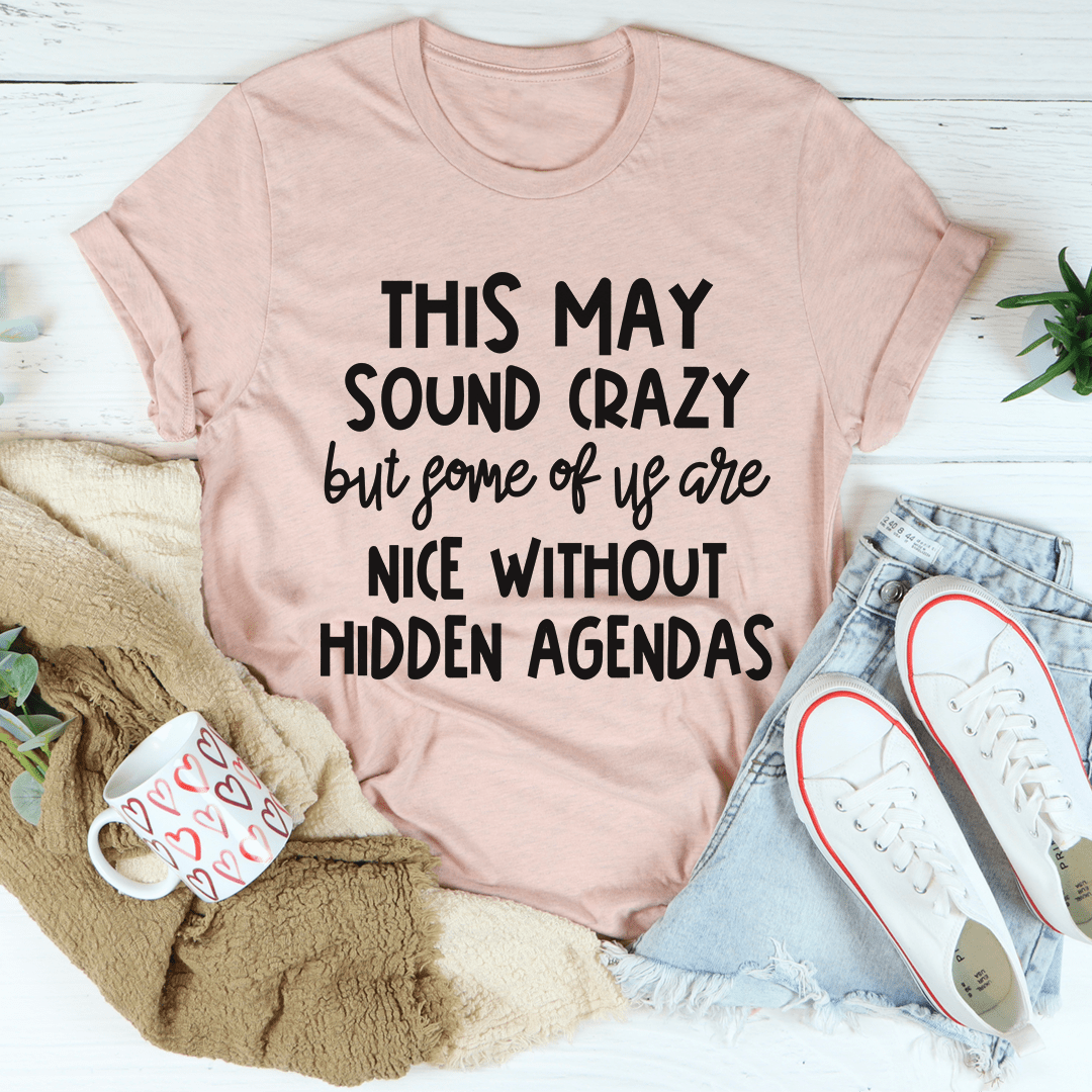Mauve T-shirt with front graphic 'This May Sound Crazy' and 'Nice Without' text