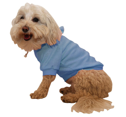 Blue hooded pet sweater on dog, ribbed cuffs and drawstring