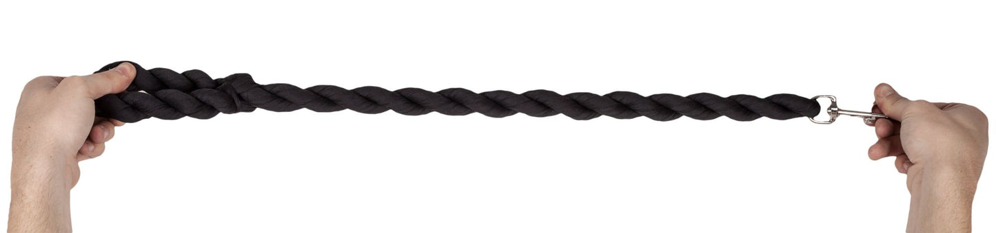 Black braided dog leash held taut, metal clasp visible at end