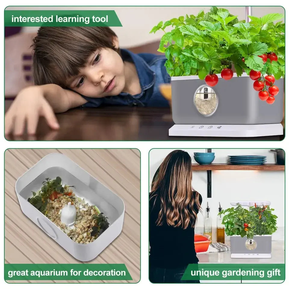 Hydroponics system with gray aquarium-style tank, viewing window, and herb plants
