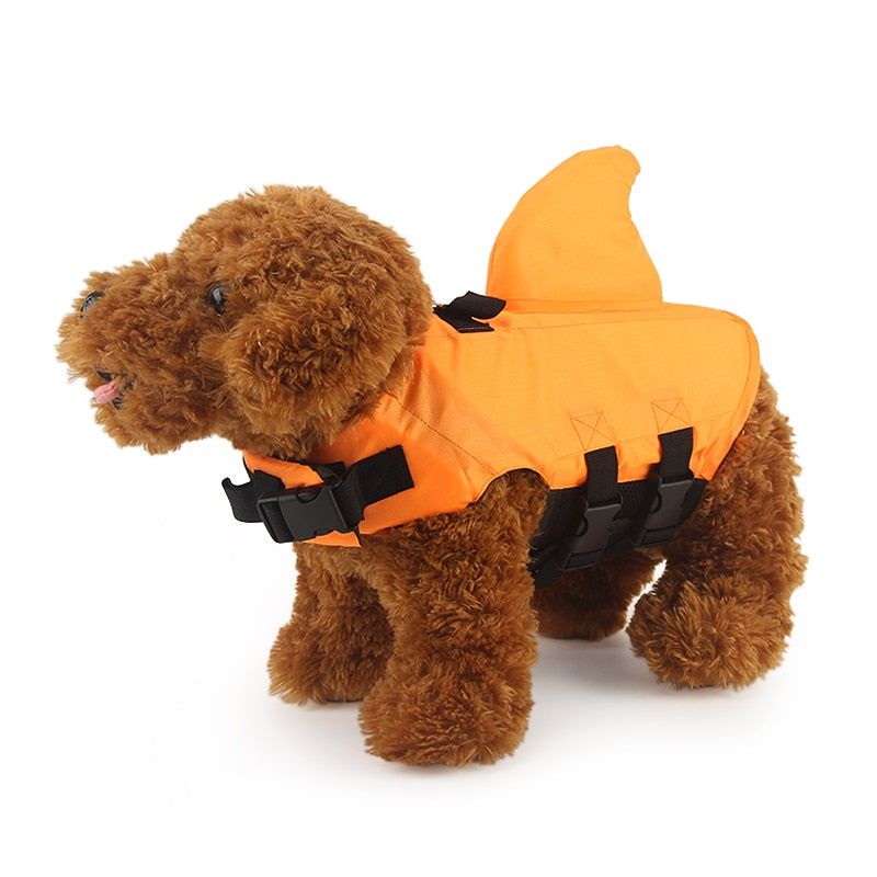 Dog life vest in orange with black buckles and front D-ring, worn on dog