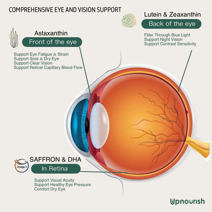 Ocular Protocol - Areds 2 Plus