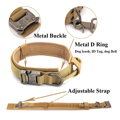 Beige fabric dog collar with metal buckle, D-ring, and adjustable strap