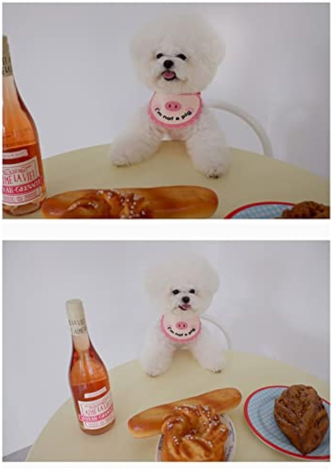 Pink crocheted pet saliva towel with pig face worn by white dog