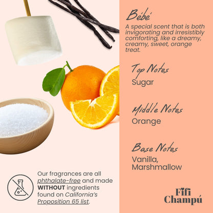 Bébé Conditioner Bar: Lightweight Moisture for Fine Hair and Sensitive Scalps