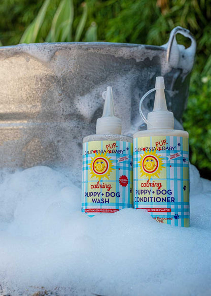Calming puppy and dog wash bottles with conditioner next to outdoor foam and water