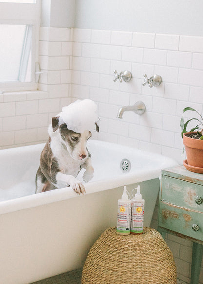Pet conditioner bottles on bathroom ledge, No Fragrance Super Sensitive formula