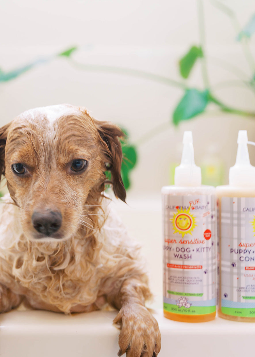 Puppy on bathtub rim with pet wash and conditioner bottles with pump