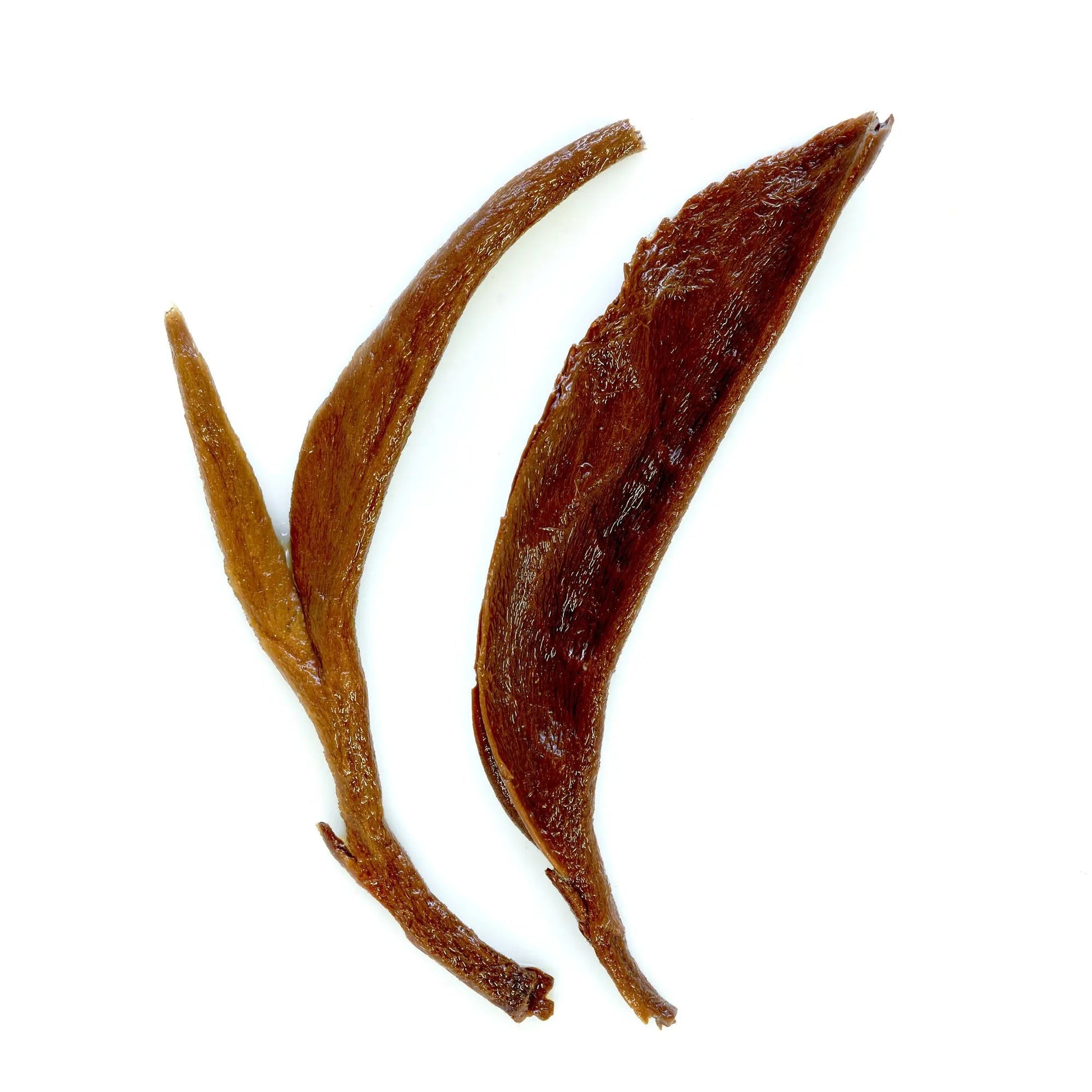 Dried black tea leaves, curled tea leaves on white background