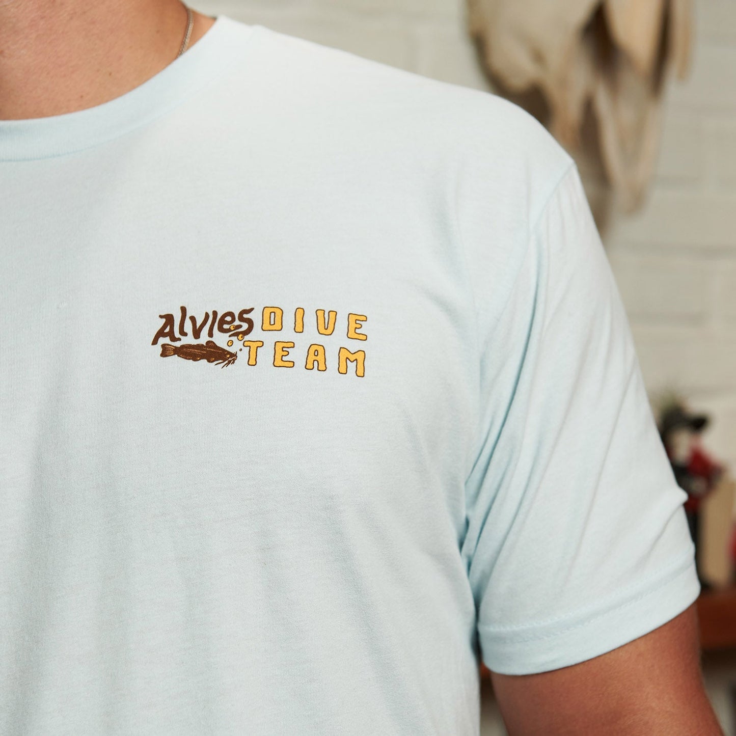 Light blue T-shirt with small back logo reading Dive Team