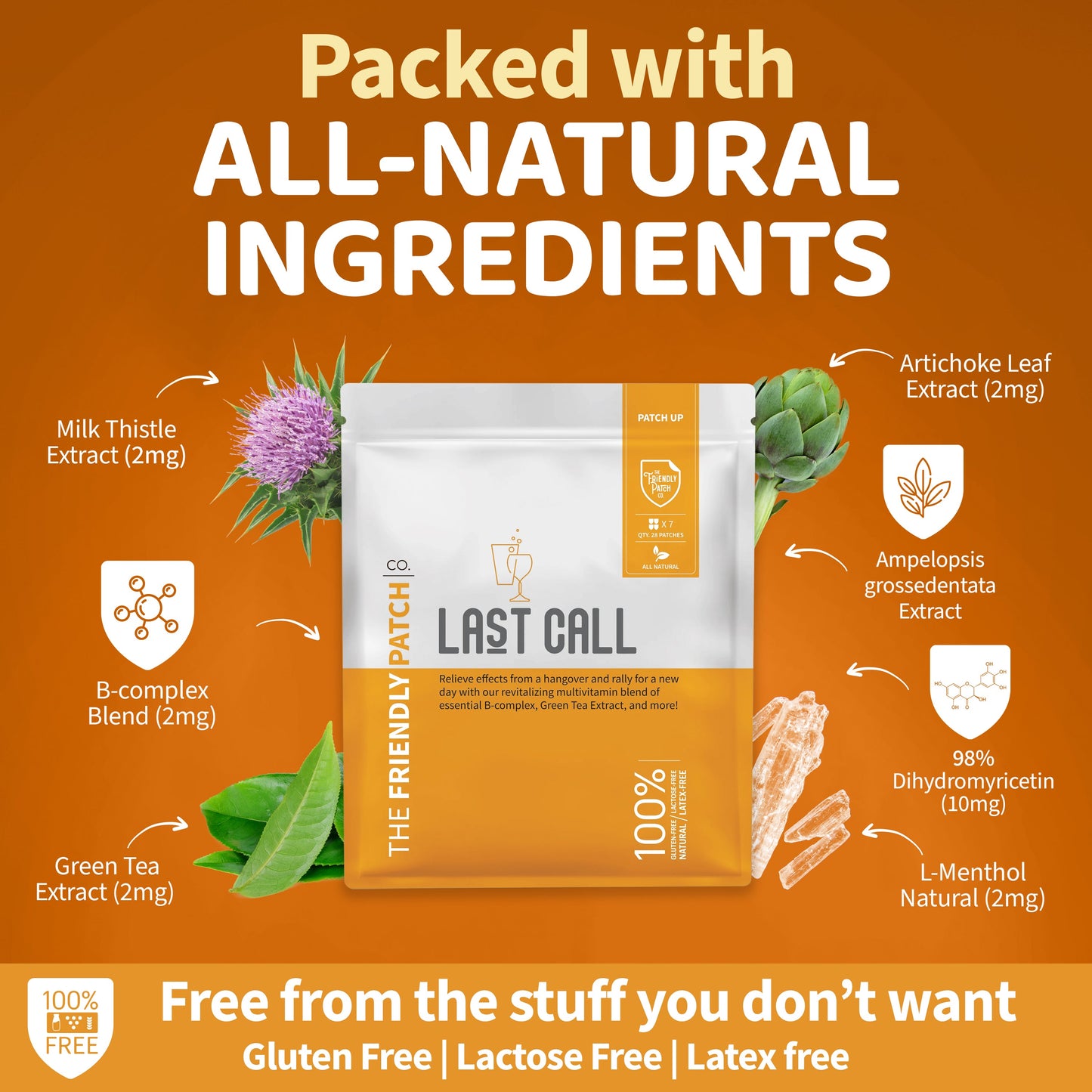 Last Call: High-Potency DHM & Milk Thistle Recovery Patches 28-Day - 28 Pack - Renee Lane Company