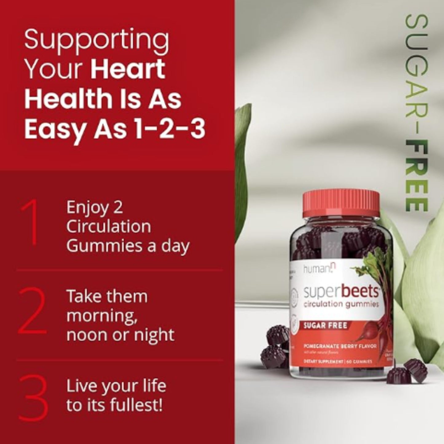 humanN SuperBeets Circulation Gummies – 60 Count  Heart-Healthy Energy with Grape Seed Extract & Beet Root Powder - Renee Lane Company