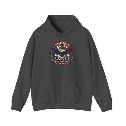 Medium gray hoodie with eagle 250 Years chest graphic and front pocket