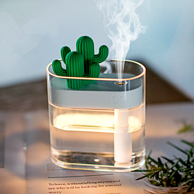 Glass ultrasonic humidifier with green cactus top and warm light, with a rising mist cloud