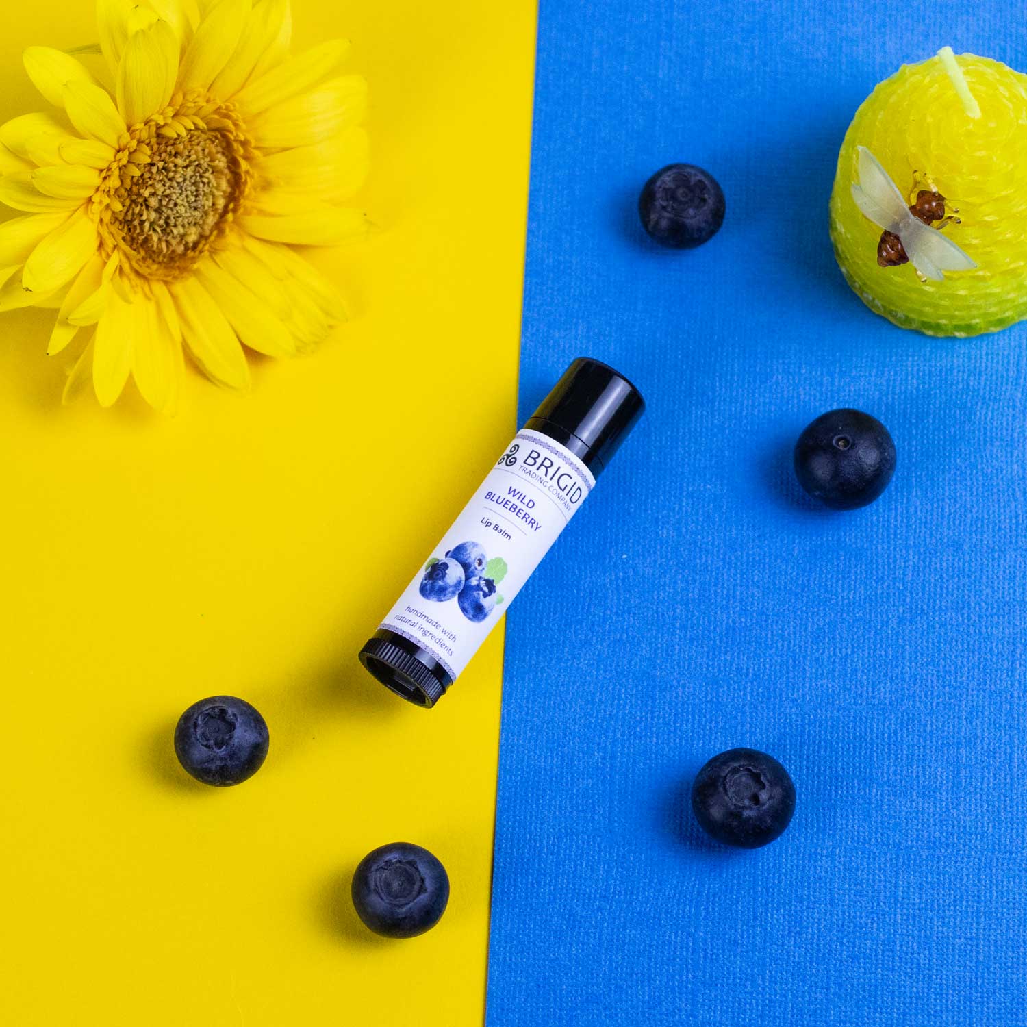 Blueberry natural lip balm tube with black cap, angled view, with blueberries around.