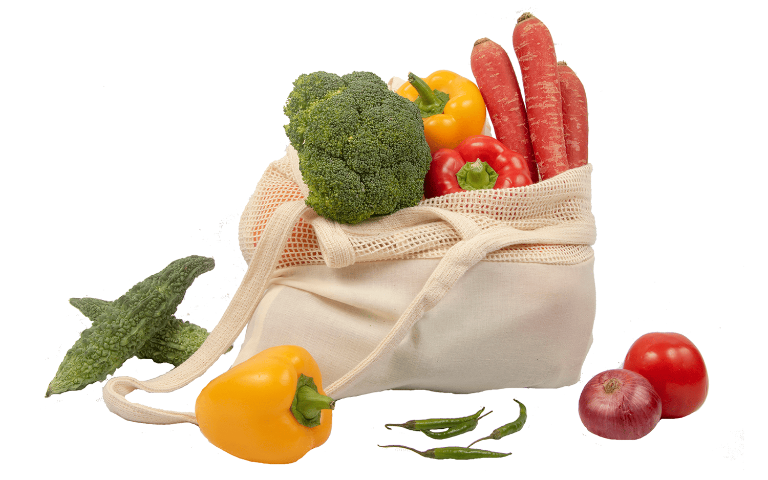 Beige mesh grocery tote bag with long handles and open top