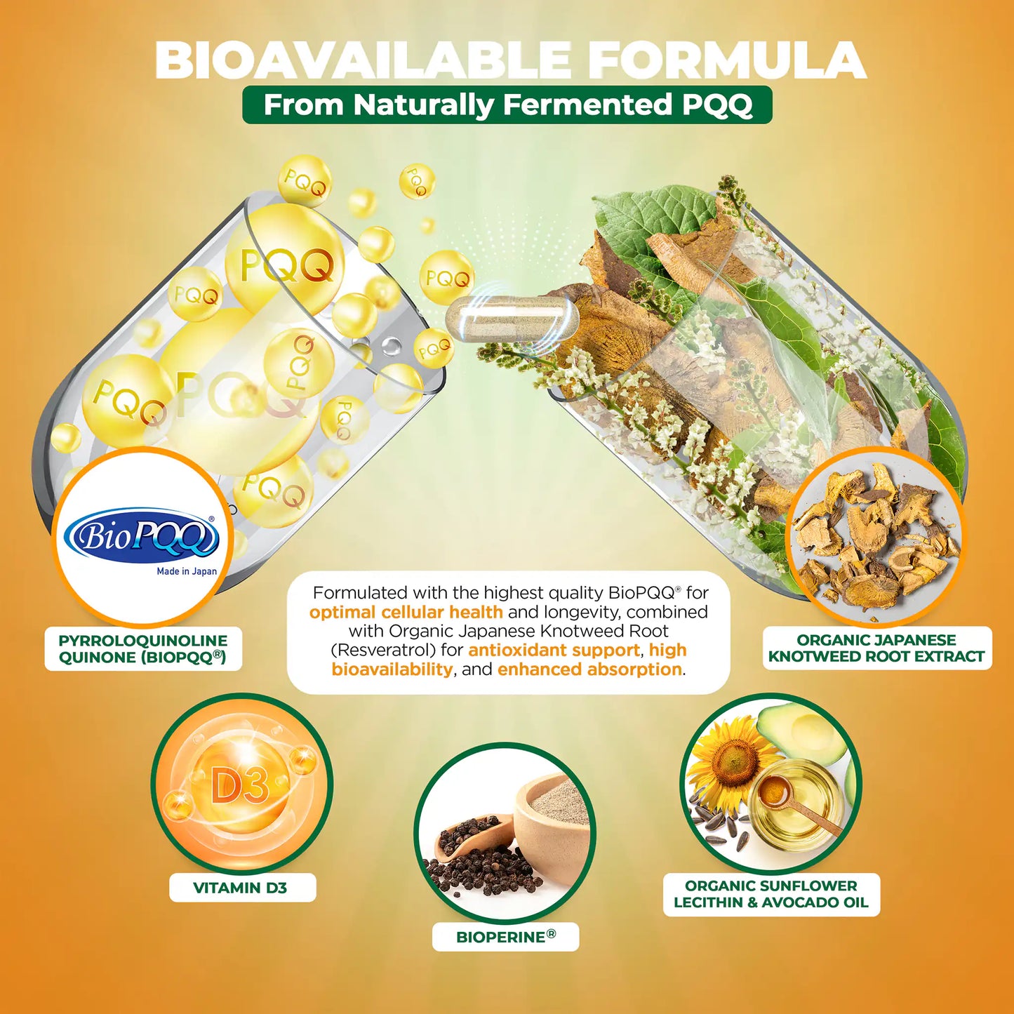 BioPQQ® 20mg Mitochondrial Energy & Memory Support