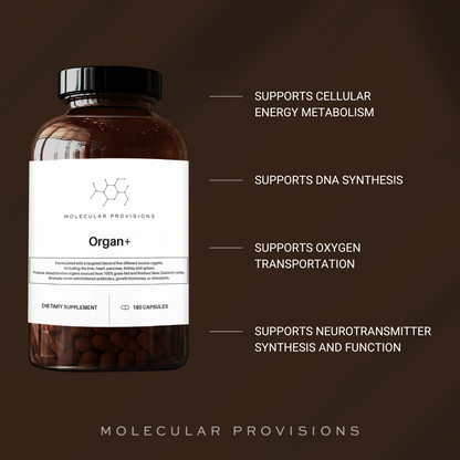 Organ+