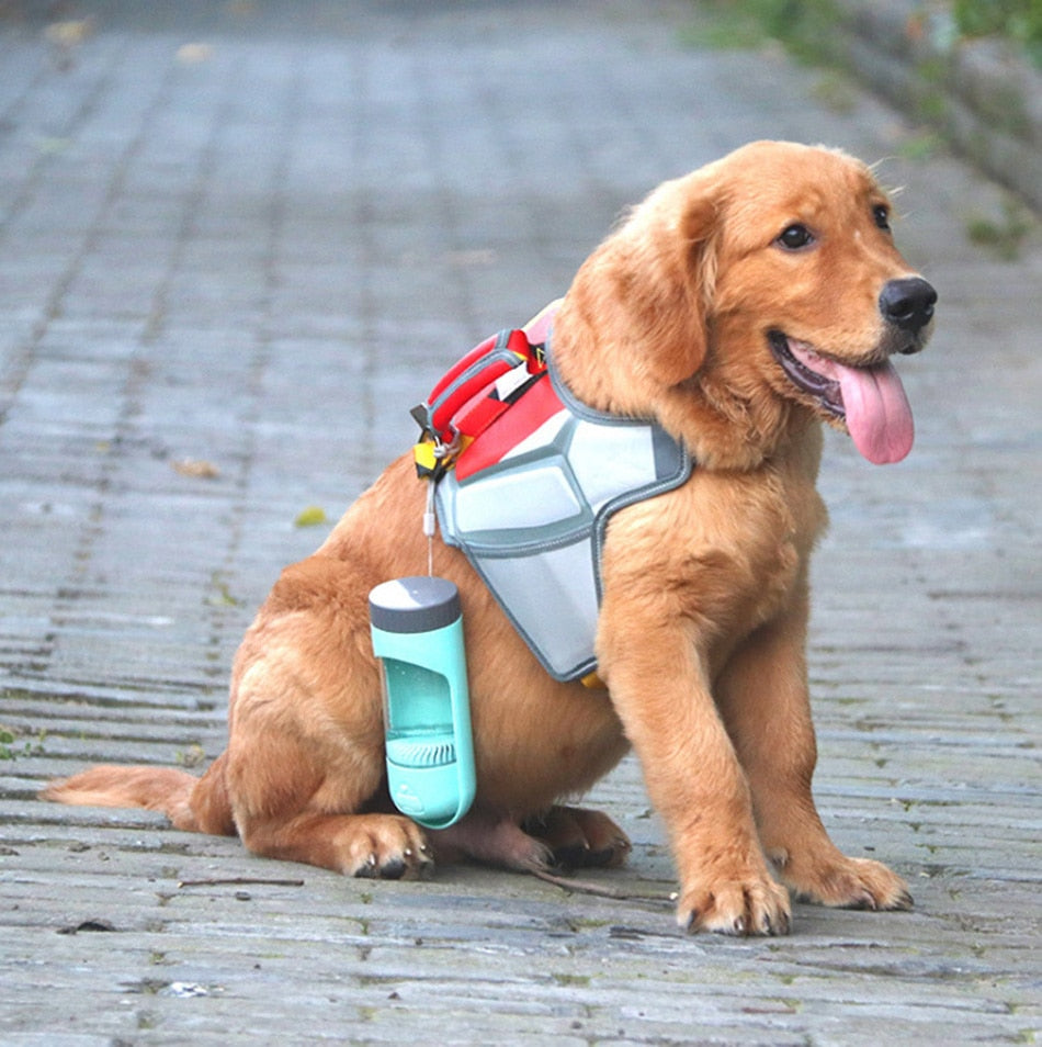 Portable dog water bottle held near a seated dog for on-the-go drinking