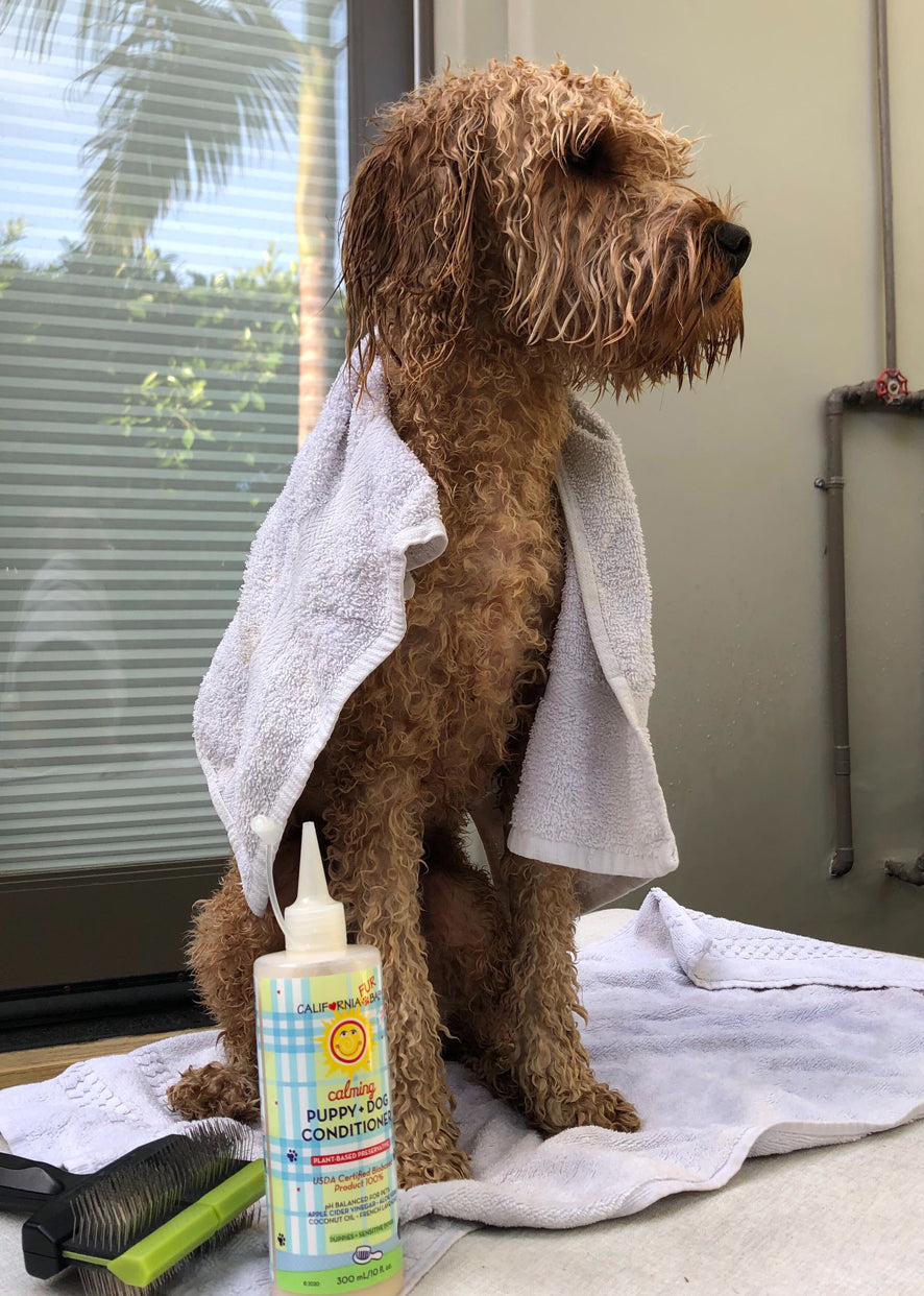Calming™ Puppy + Dog Conditioner bottle with label front on pet blanket