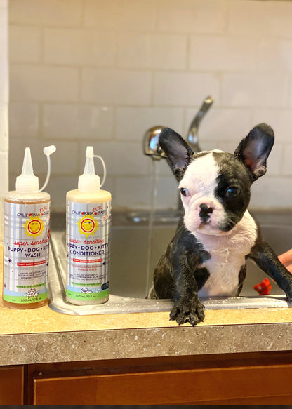 No-fragrance sensitive pet wash and conditioner pump bottles for pets