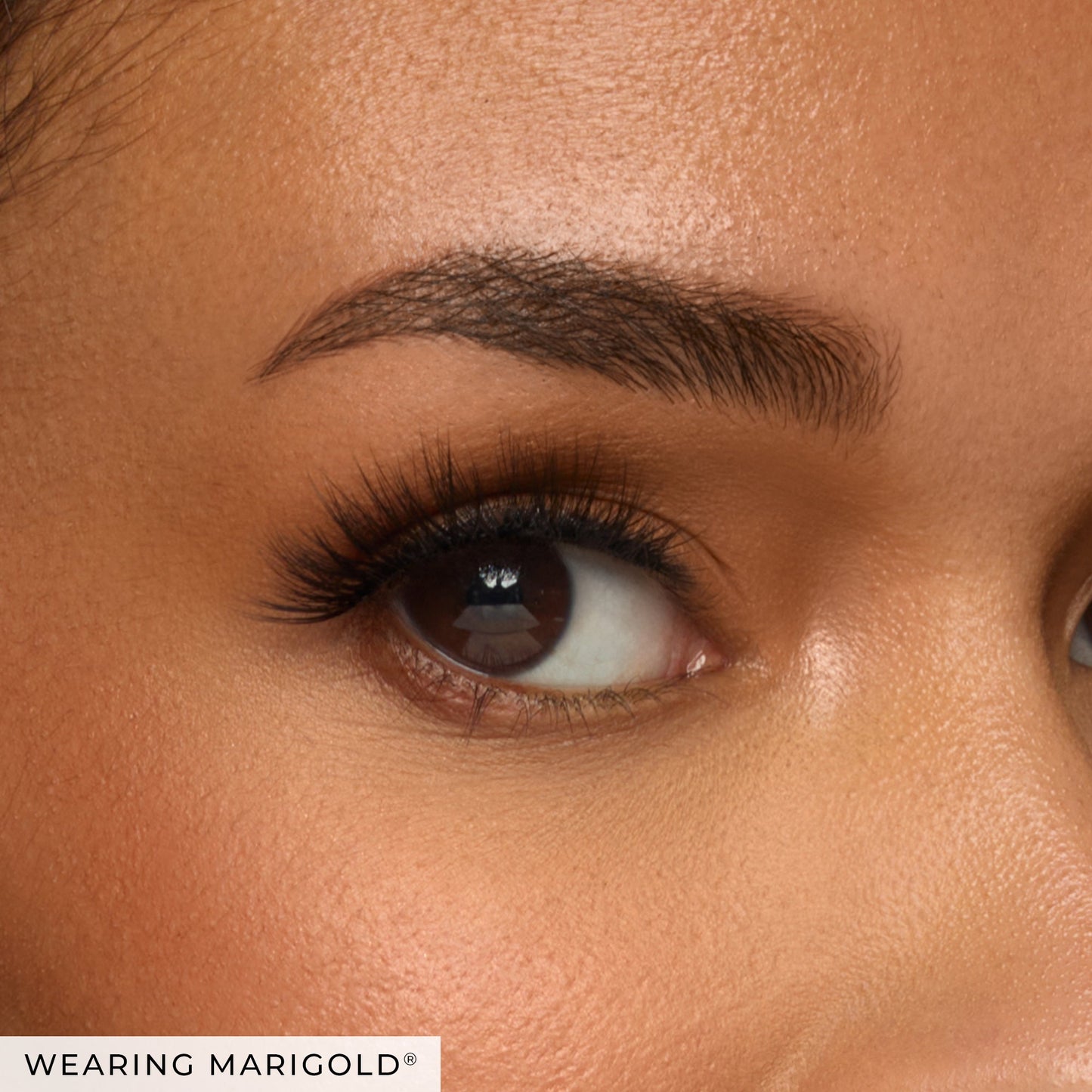 Marigold