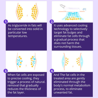Shape Tactics 4-Pad Cryolipolysis Cold Contouring System
