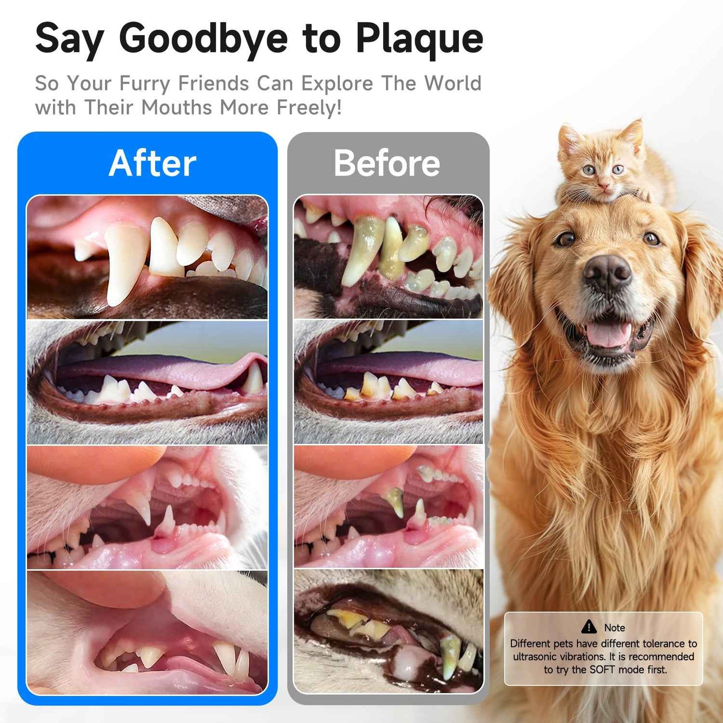 T5 Pet Ultrasonic Tooth Cleaner | Safe Dental Care for Dogs & Cats