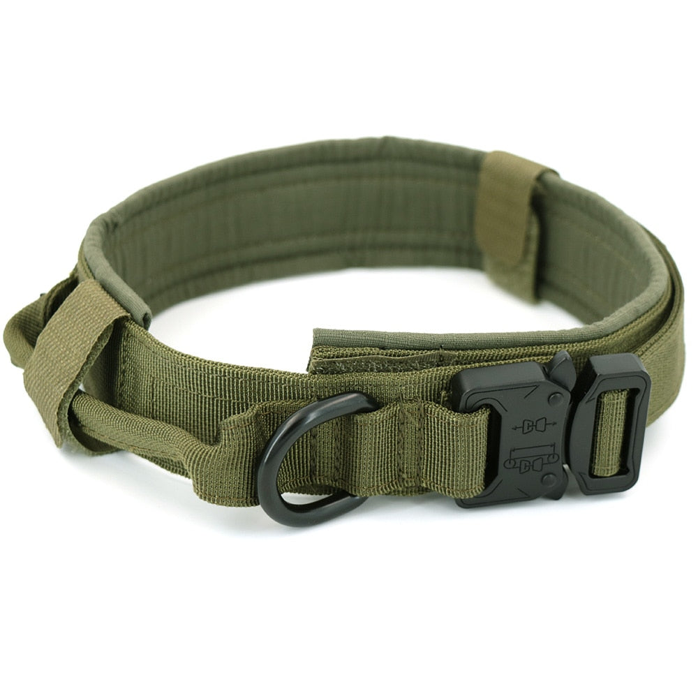 Olive green dog collar with D-ring and adjustable metal buckle