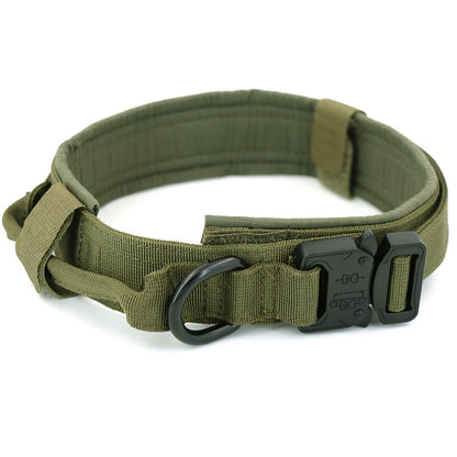 Olive green dog collar with D-ring and adjustable metal buckle