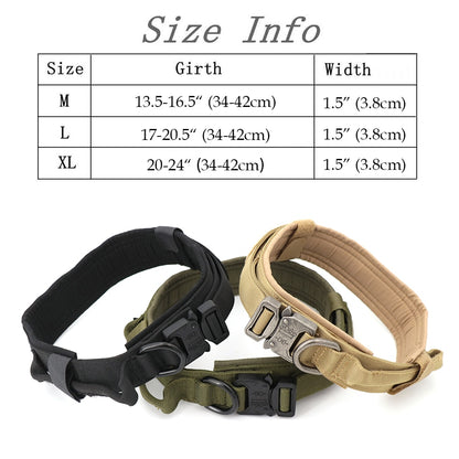 Set of black and beige dog collars with metal buckle, D-ring, and adjustable strap