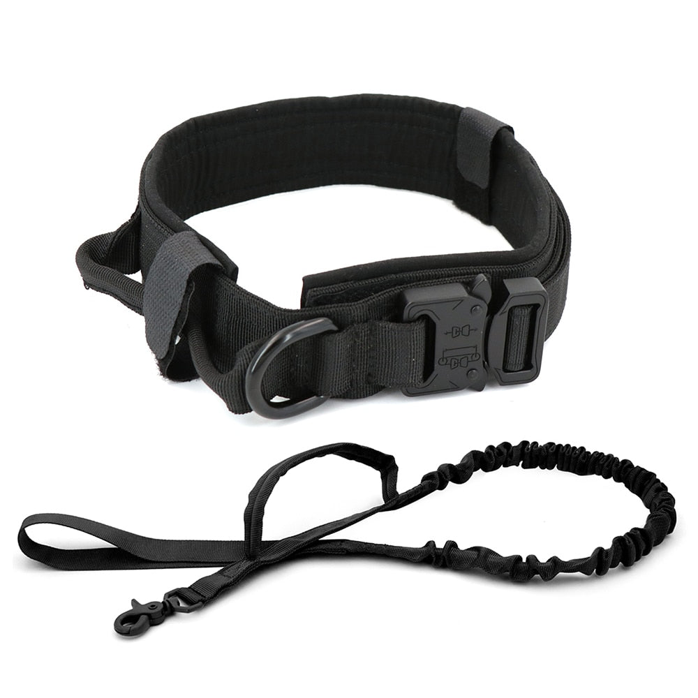 Black dog collar with adjustable buckle and matching leash strap